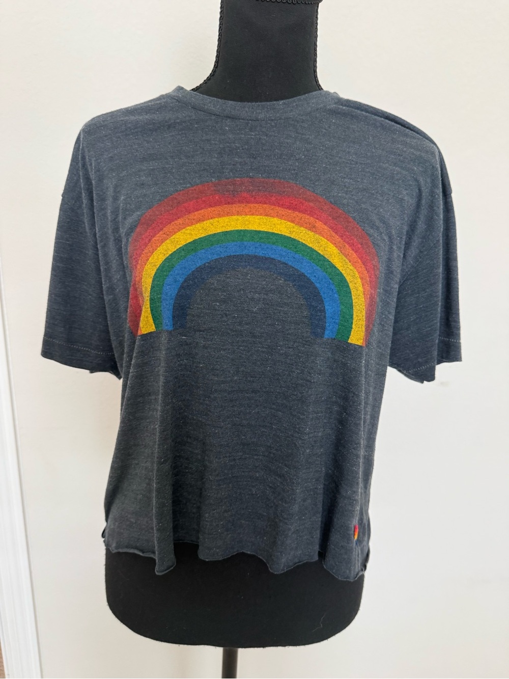 Aviator Nation Rainbow Graphic Tee | Size Large